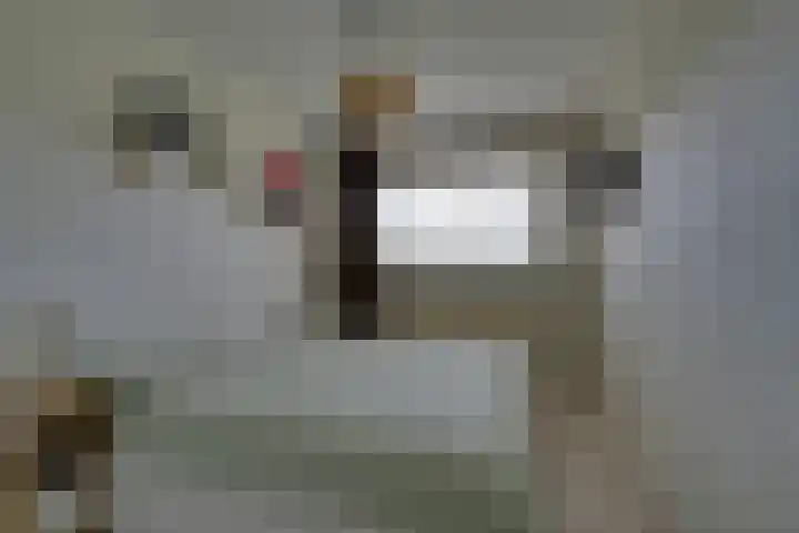 Loenermark 113 Amsterdam thumbnail 31
