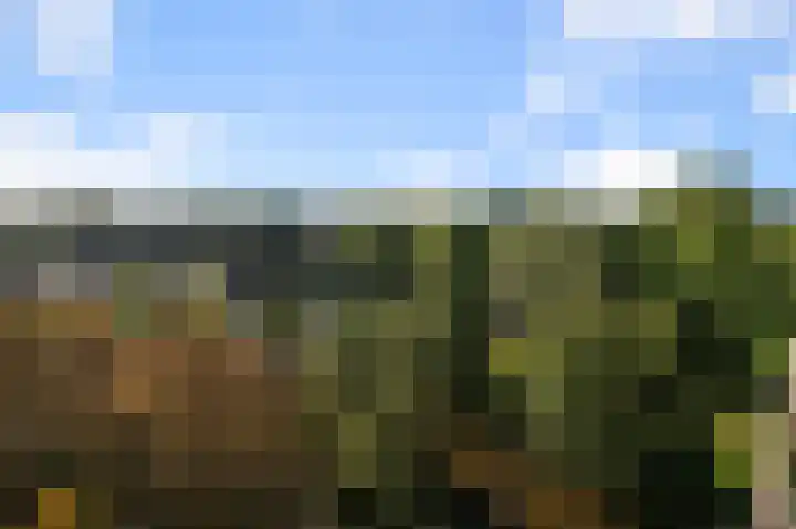 Loenermark 126 Amsterdam thumbnail 10