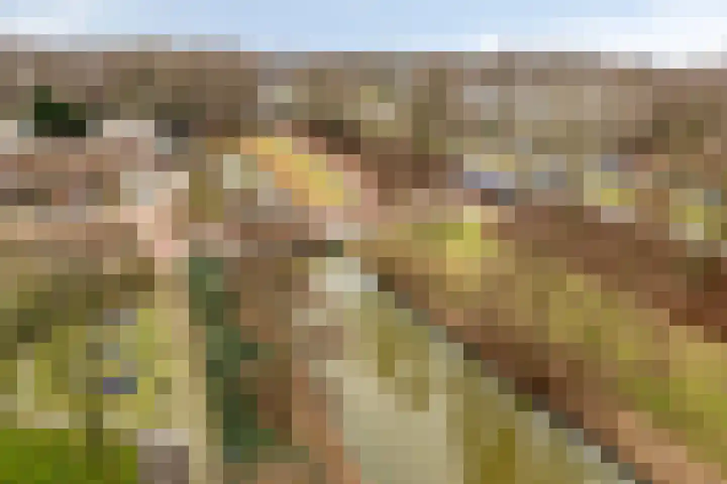 Loenermark 127 Amsterdam thumbnail 8