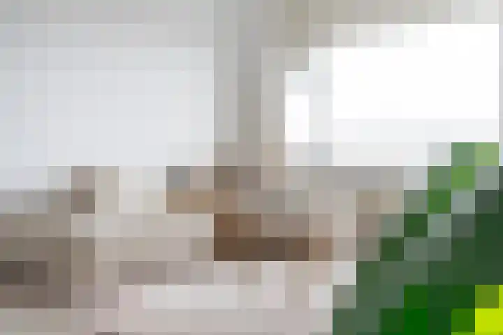 Loenermark 138 Amsterdam thumbnail 13
