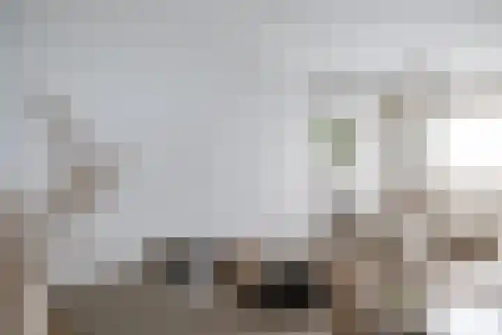 Loenermark 138 Amsterdam thumbnail 18