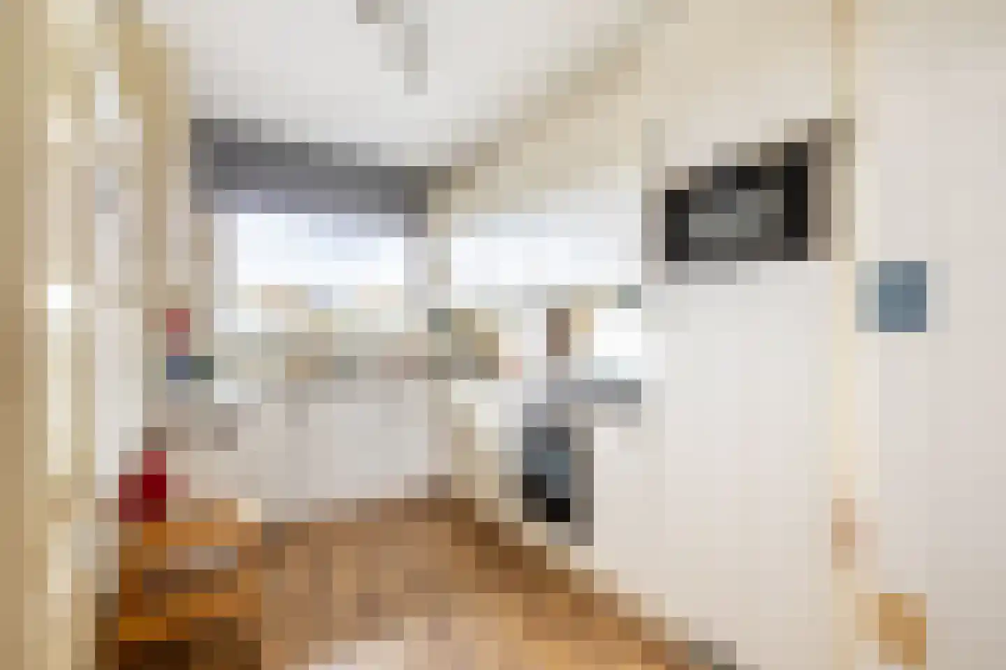 Loenermark 141 Amsterdam thumbnail 10