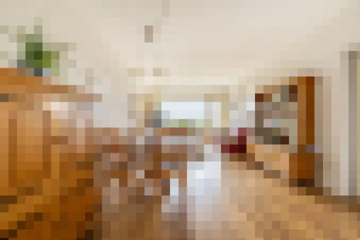 Loenermark 141 Amsterdam thumbnail 14