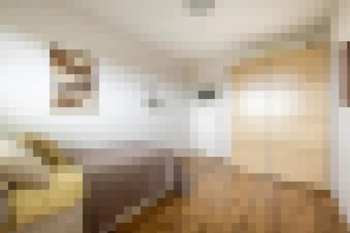 Loenermark 141 Amsterdam thumbnail 27