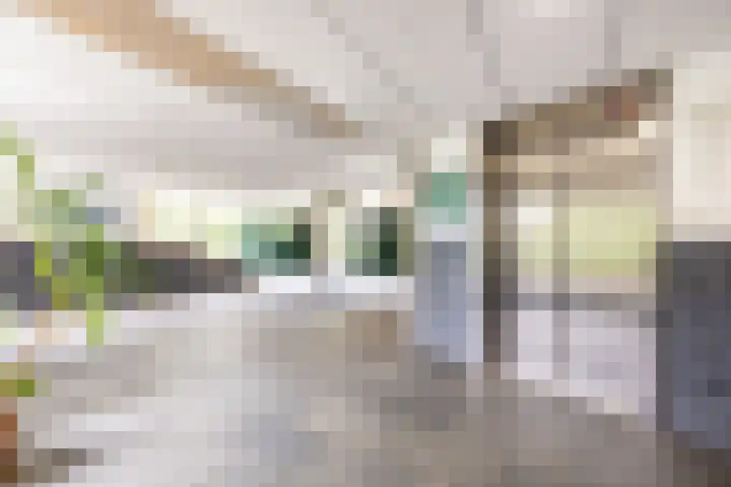 Loenermark 141 Amsterdam thumbnail 6
