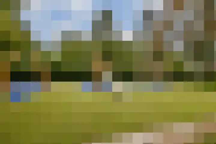 Loenermark 142 Amsterdam thumbnail 19