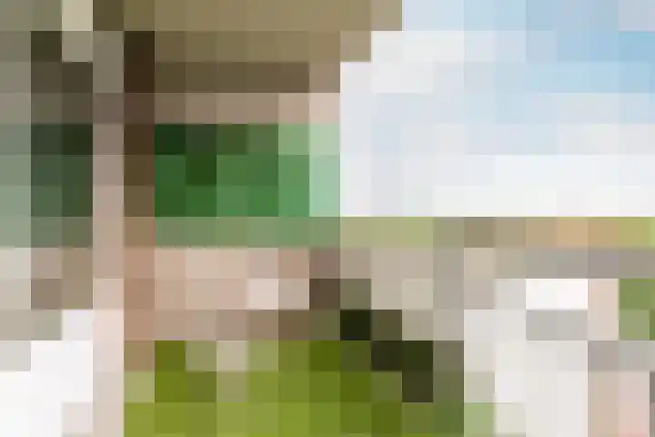 Loenermark 146 Amsterdam thumbnail 40