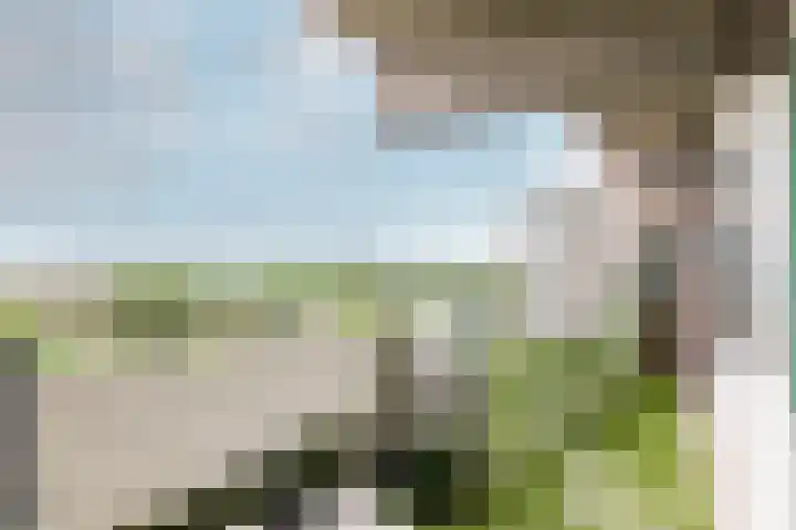 Loenermark 146 Amsterdam thumbnail 41