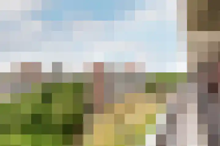 Loenermark 146 Amsterdam thumbnail 9