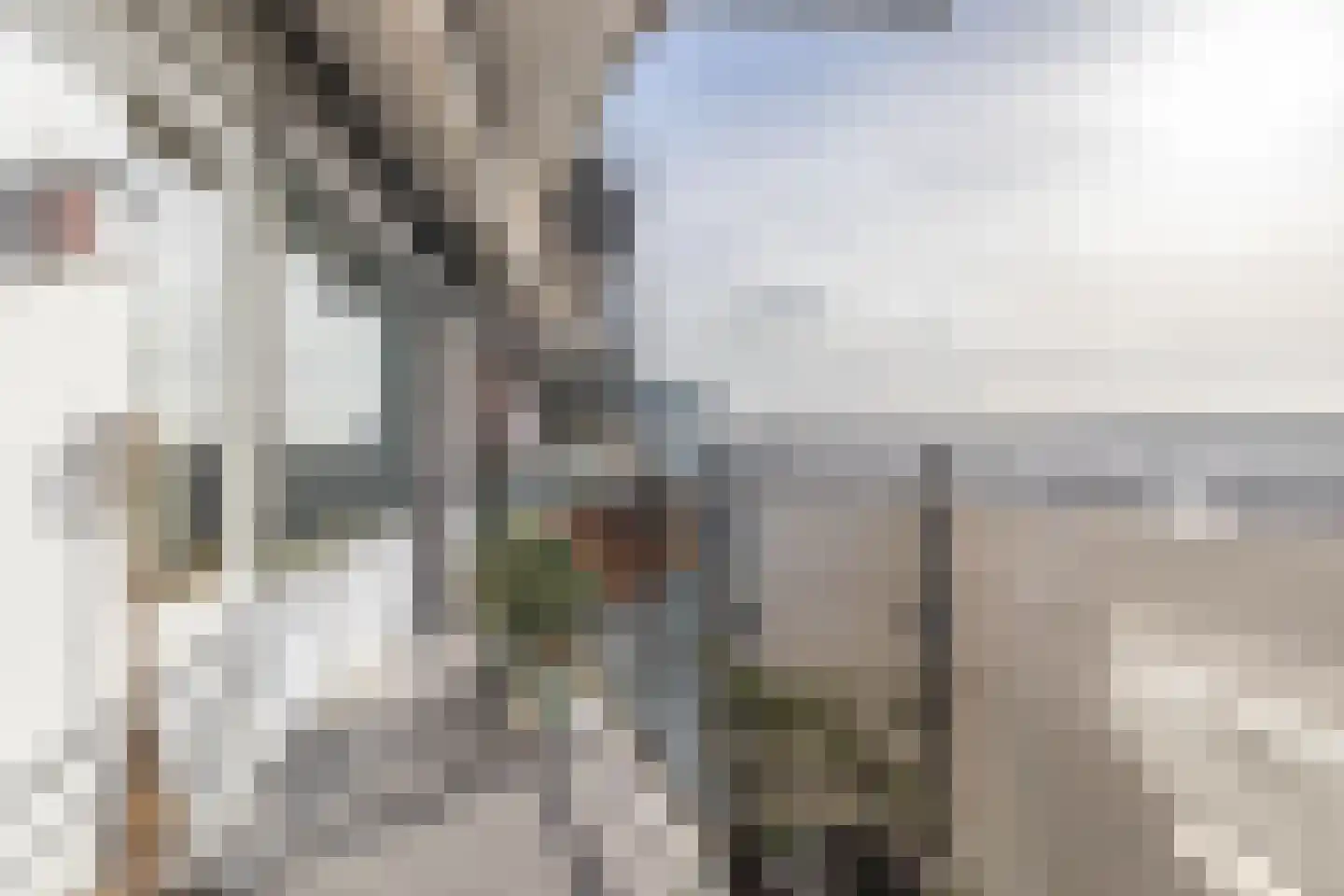 Loenermark 147 Amsterdam thumbnail 28