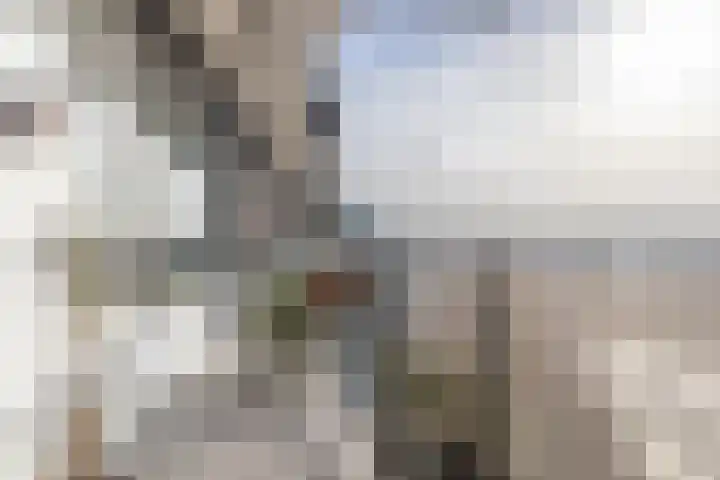 Loenermark 147 Amsterdam thumbnail 28