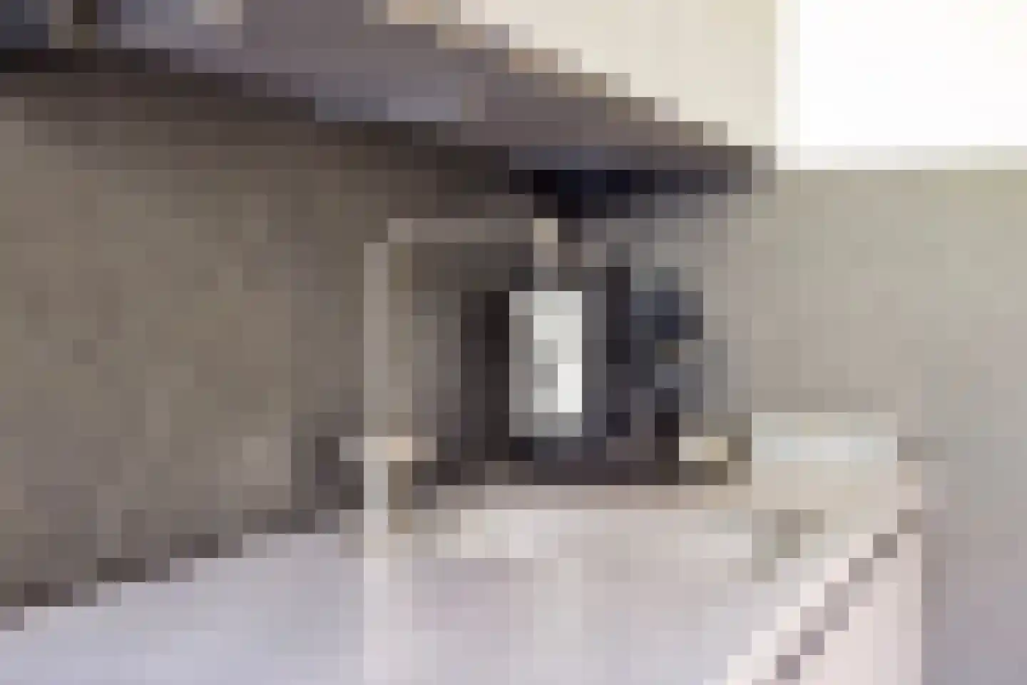 Loenermark 172 Amsterdam thumbnail 19