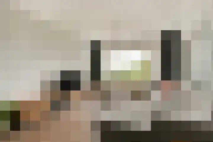 Loenermark 184 Amsterdam thumbnail 33