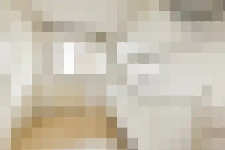 Loenermark 205 Amsterdam thumbnail 9