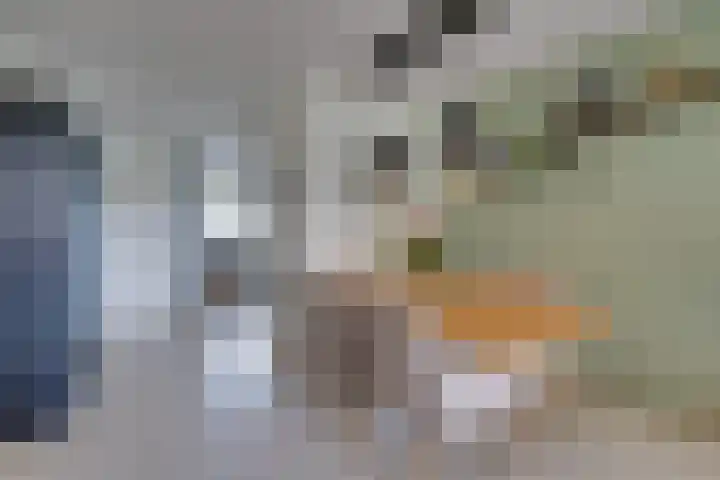 Loenermark 272 Amsterdam thumbnail 10