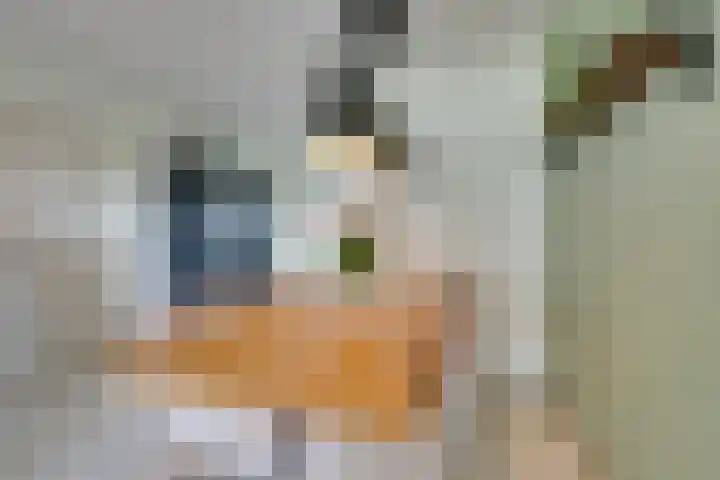 Loenermark 272 Amsterdam thumbnail 11