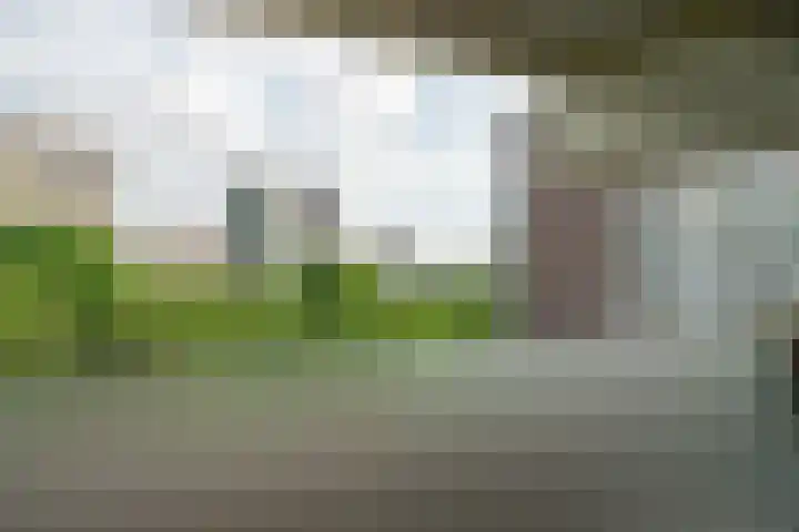Loenermark 272 Amsterdam thumbnail 15