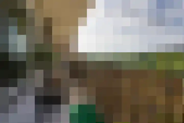 Loenermark 272 Amsterdam thumbnail 17