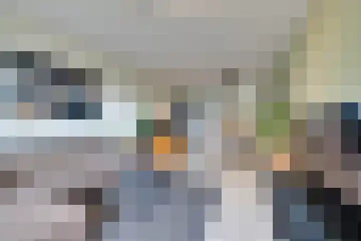 Loenermark 272 Amsterdam thumbnail 7