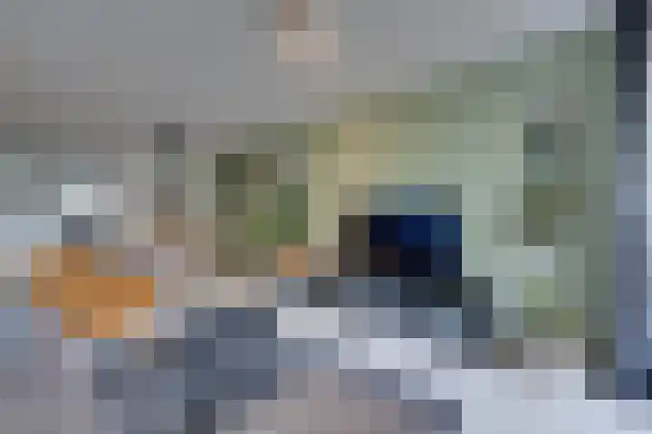 Loenermark 272 Amsterdam thumbnail 9