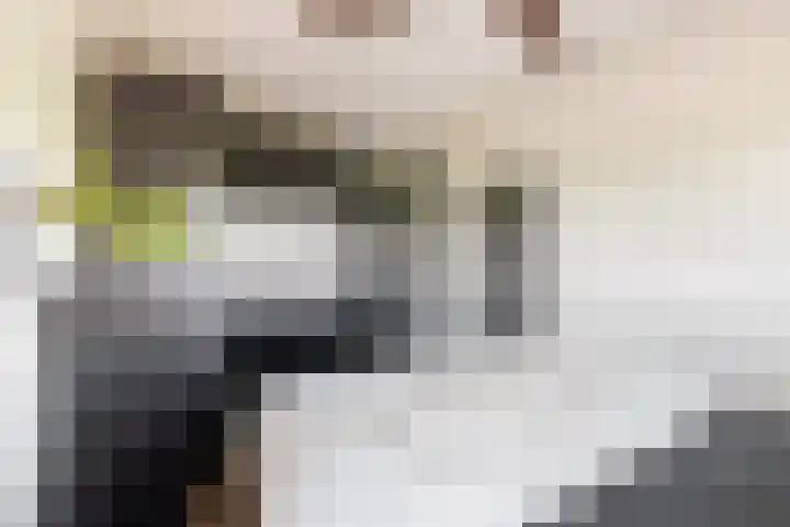 Loenermark 303 Amsterdam thumbnail 19