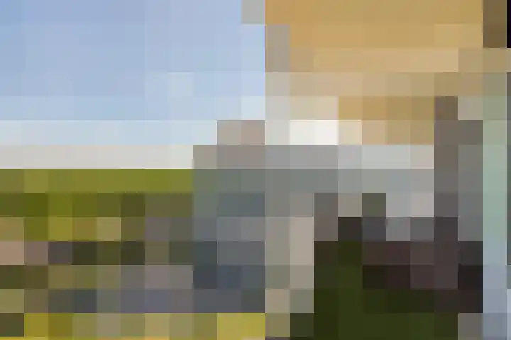 Loenermark 303 Amsterdam thumbnail 20