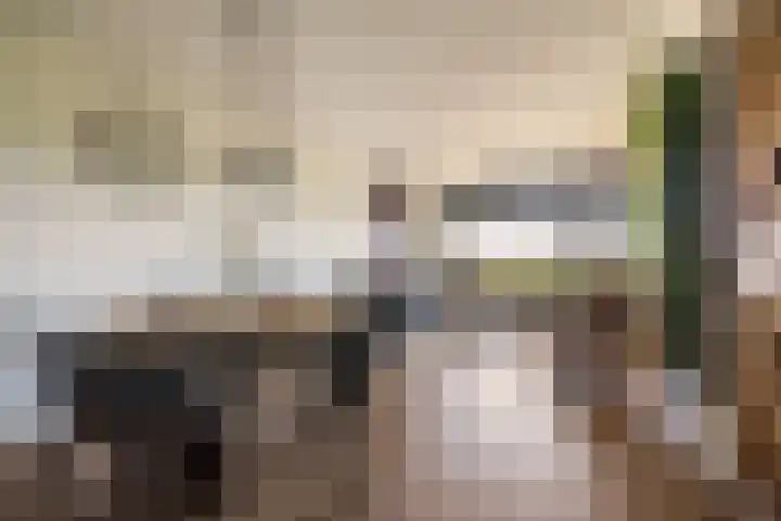 Loenermark 303 Amsterdam thumbnail 7