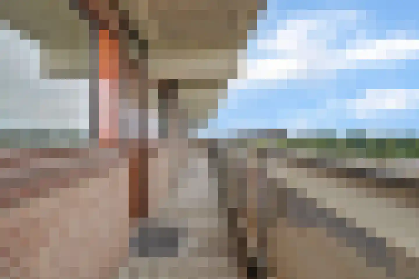 Loenermark 306 Amsterdam thumbnail 12