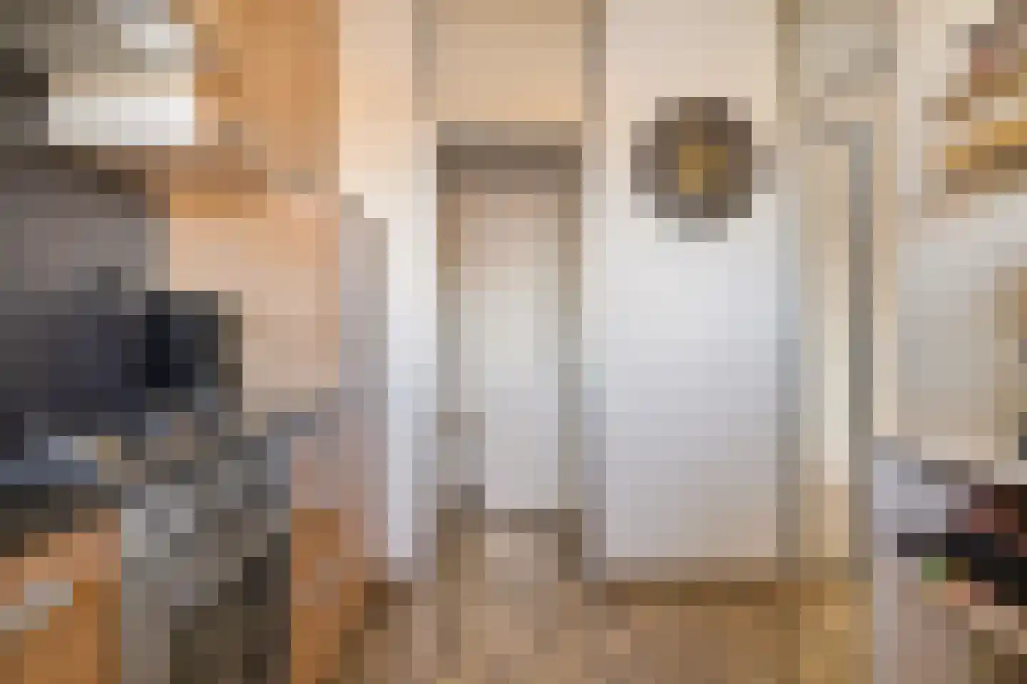 Loenermark 314 Amsterdam thumbnail 17