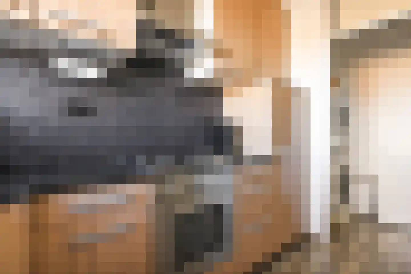 Loenermark 314 Amsterdam thumbnail 18