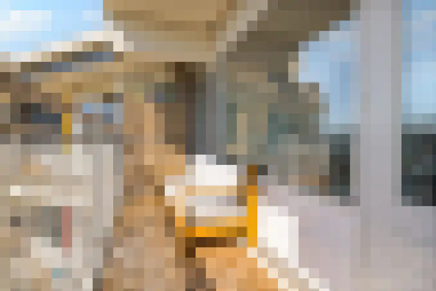 Loenermark 314 Amsterdam thumbnail 32