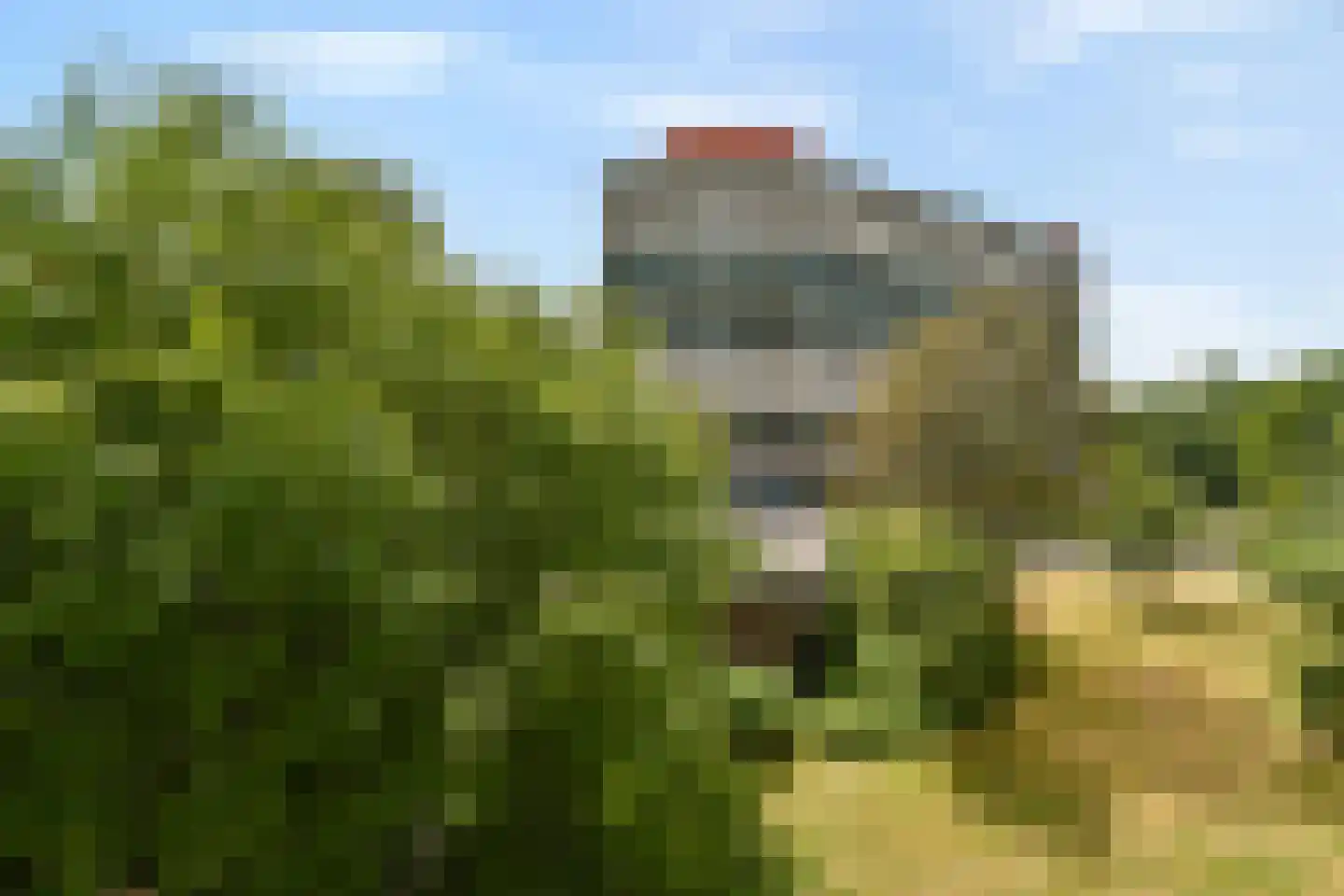 Loenermark 333 Amsterdam thumbnail 18