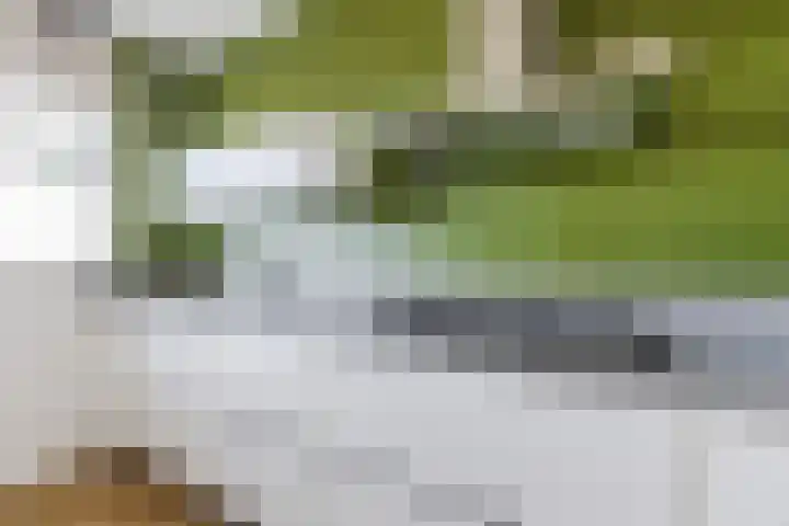 Loenermark 350 Amsterdam thumbnail 17