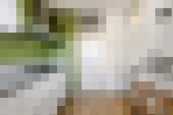 Loenermark 350 Amsterdam thumbnail 18
