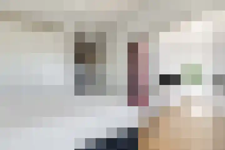 Loenermark 350 Amsterdam thumbnail 22