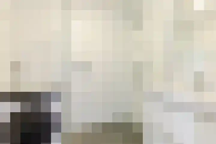 Loenermark 350 Amsterdam thumbnail 4