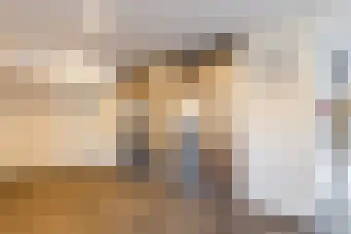 Loenermark 350 Amsterdam thumbnail 9