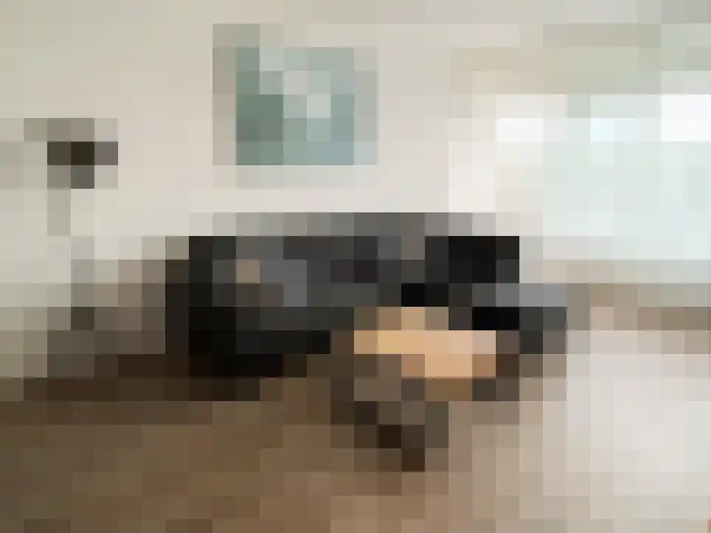 Loenermark 375 Amsterdam thumbnail 4