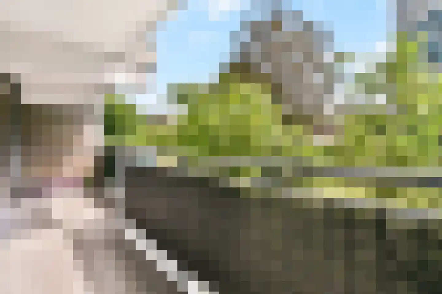 Loenermark 398 Amsterdam thumbnail 5