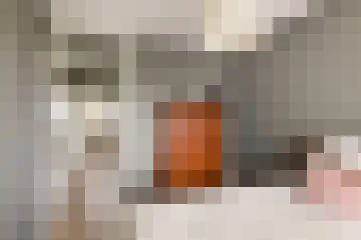 Loenermark 430 Amsterdam thumbnail 16