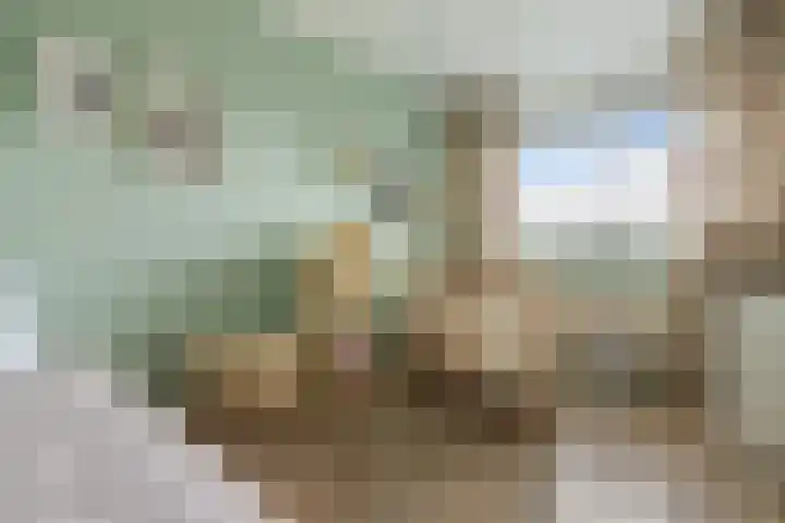 Loenermark 430 Amsterdam thumbnail 21