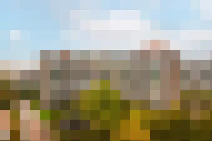 Loenermark 430 Amsterdam thumbnail 27