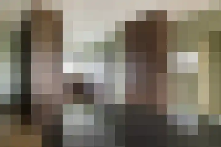 Loenermark 430 Amsterdam thumbnail 9