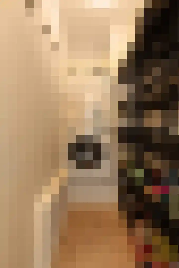 Loenermark 459 Amsterdam thumbnail 19
