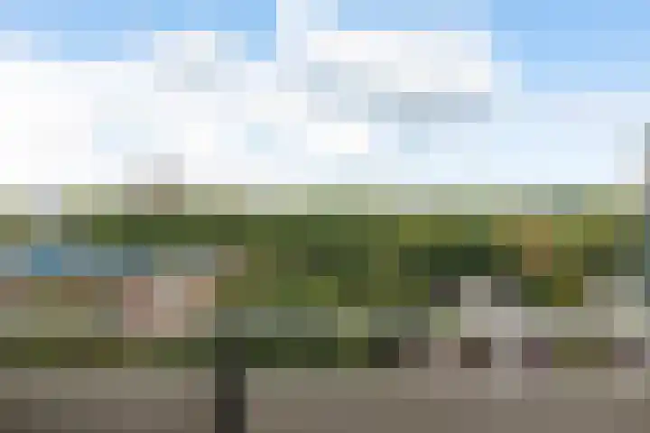 Loenermark 459 Amsterdam thumbnail 25