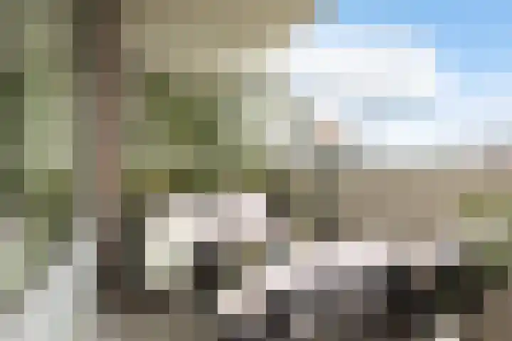 Loenermark 459 Amsterdam thumbnail 4