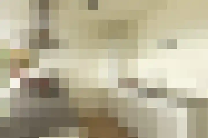 Loenermark 459 Amsterdam thumbnail 6