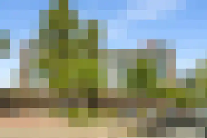 Loenermark 502 in Amsterdam