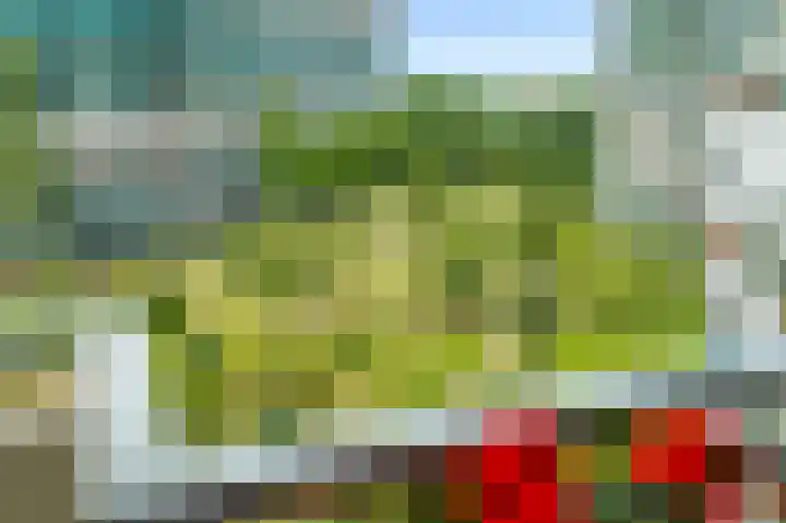Loenermark 502 Amsterdam thumbnail 23