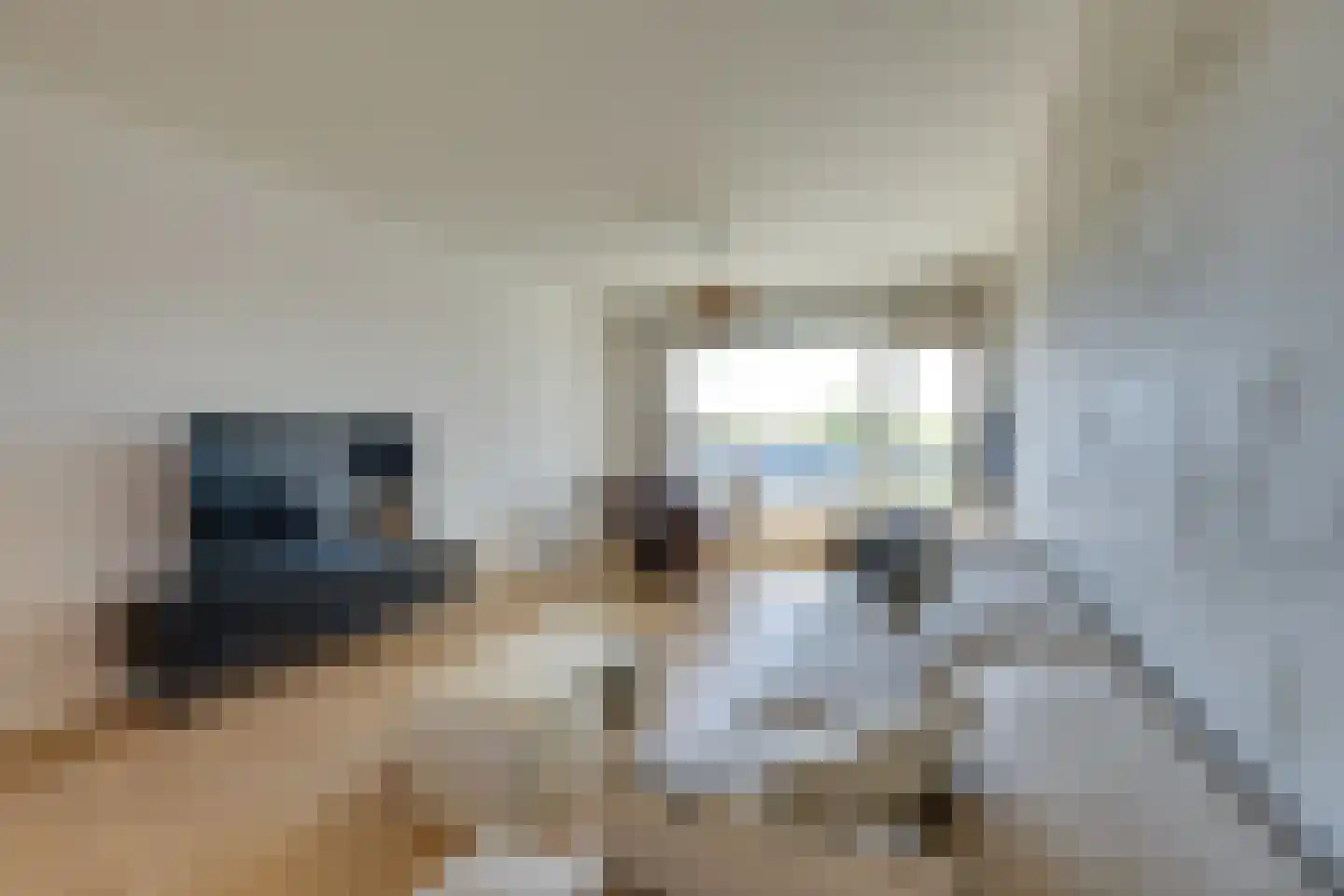 Loenermark 512 Amsterdam thumbnail 12